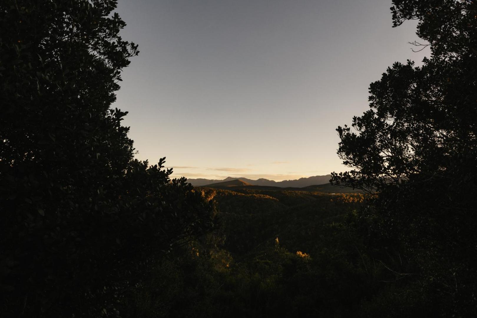 Moonshine On Whiskey Creek Villa The Crags Exterior foto