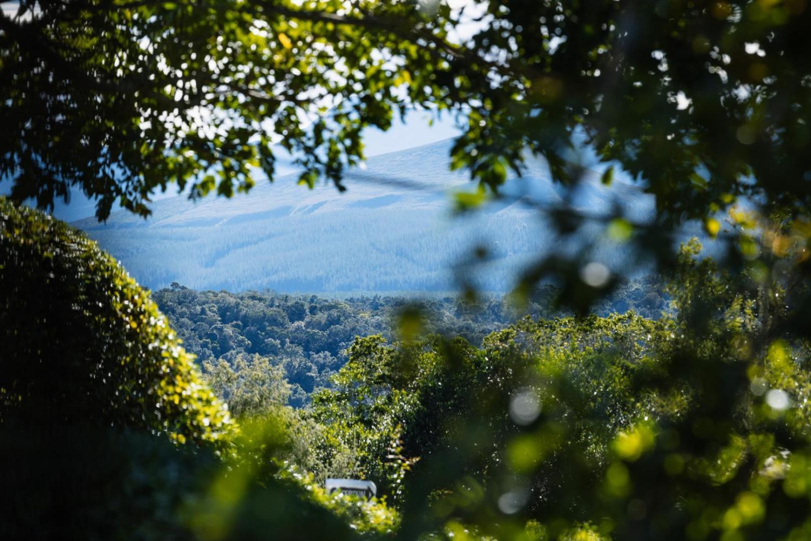 Moonshine On Whiskey Creek Villa The Crags Exterior foto